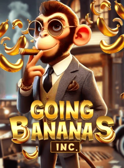 bg666